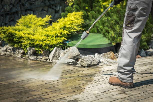 Best Gutter Cleaning  in Litchfield, MI
