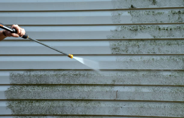 Boat and Dock Cleaning in Litchfield, MI