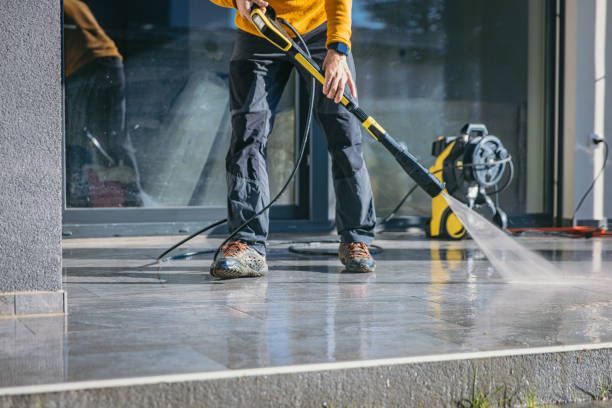 Pre-Holiday Cleaning in Litchfield, MI